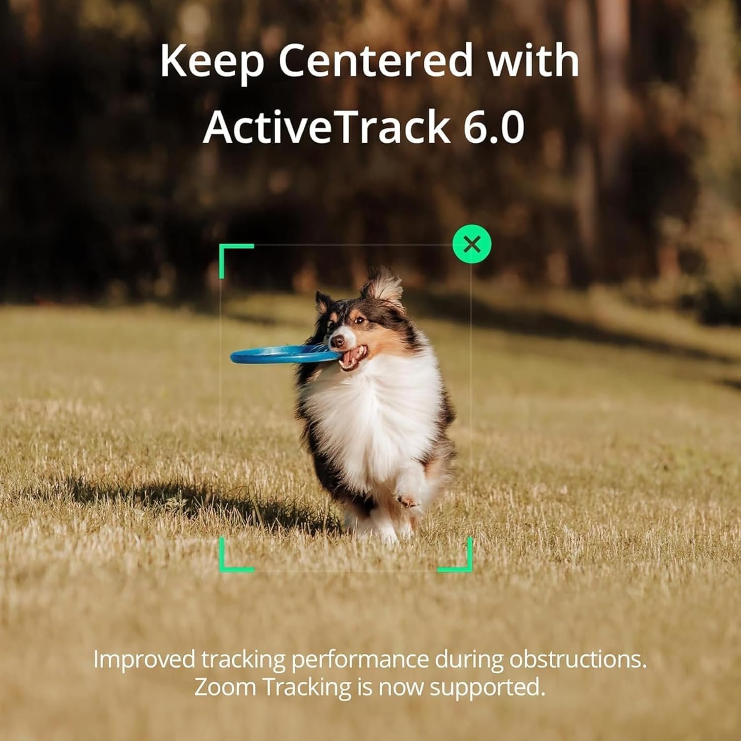 DJI Osmo Mobile SE smartphone gimbal easy view